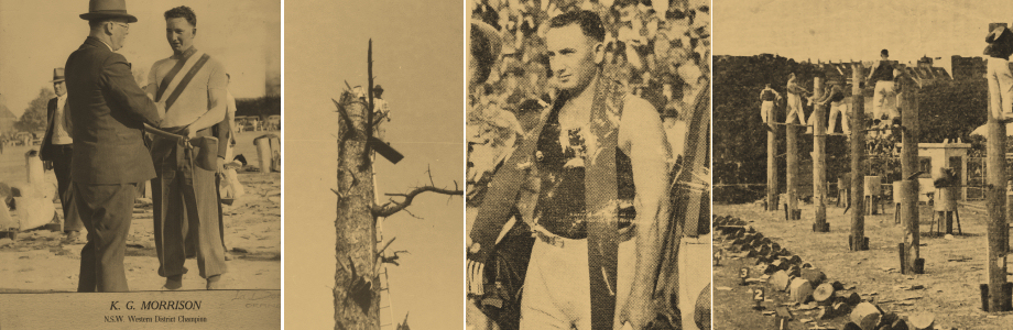 Clearview Tree Service at work