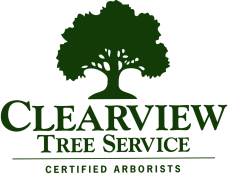 Clearview Tree Service